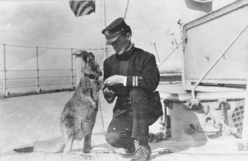 Kangaroo On Board USS Connecticut